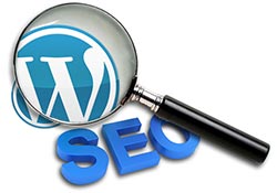 Продвижение сайта на WordPress Wordpress SEO