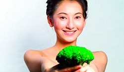 Меню для похудения на день меню для похудения